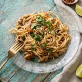 plato de fideos con pollo y salsa satay